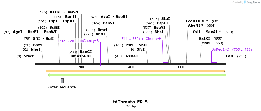 108490_map