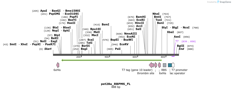 108499_map