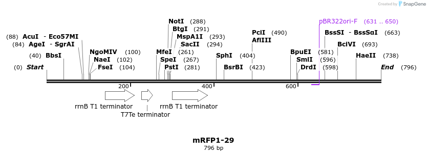 108503_map