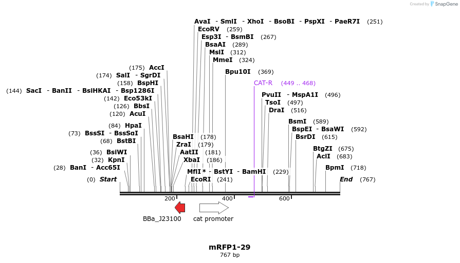 108504_map