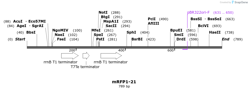 108505_map