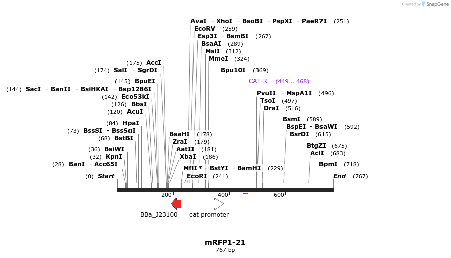 108506_map