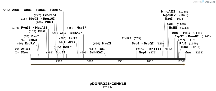 10851_map