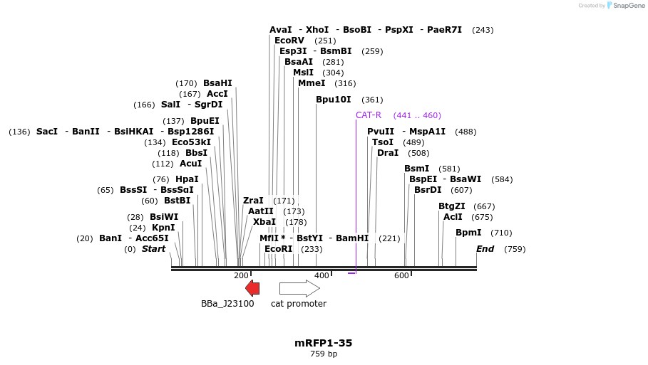 108512_map