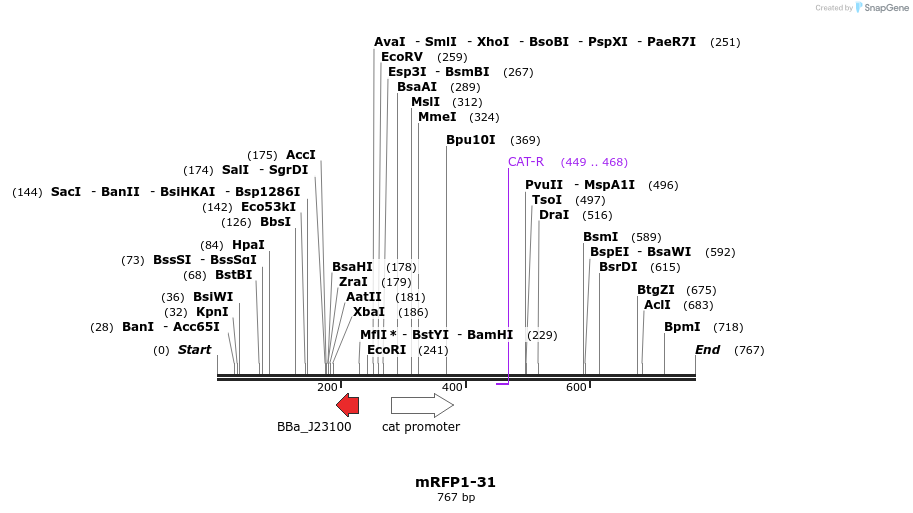108514_map