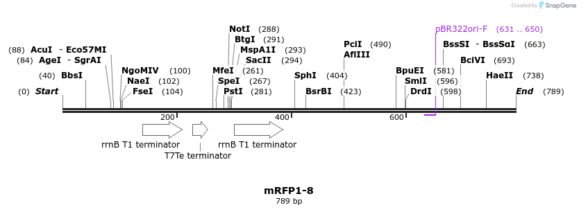 108515_map