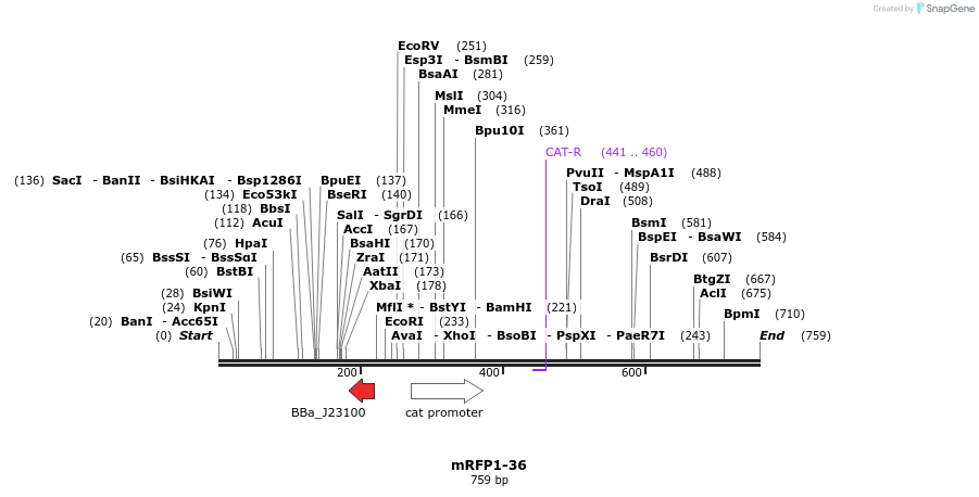 108518_map