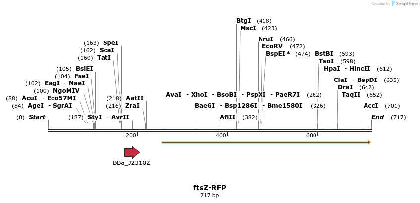 108521_map
