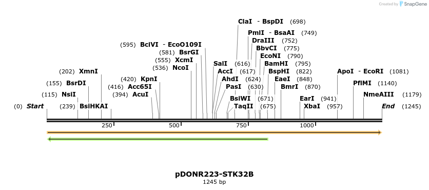 10853_map