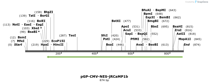 108531_map