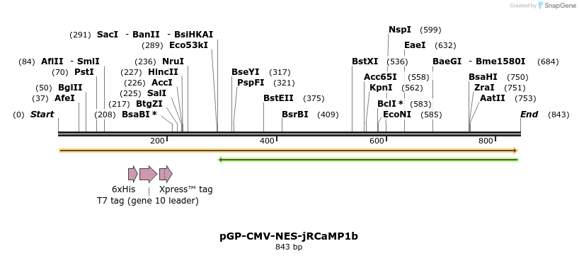 108532_map