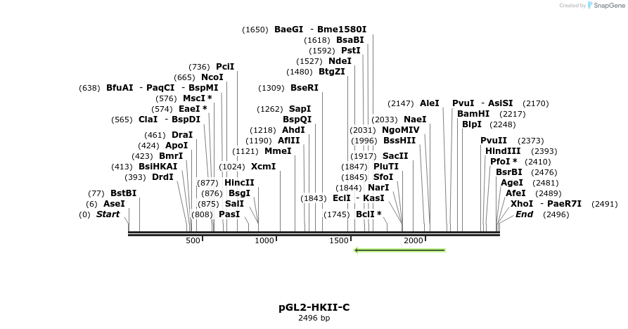 108536_map