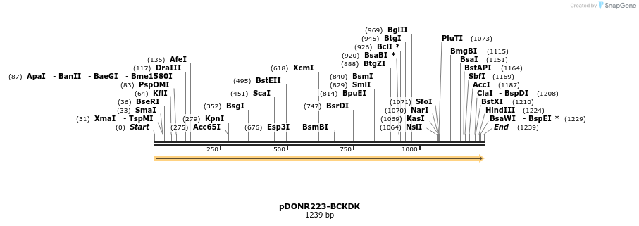 10854_map