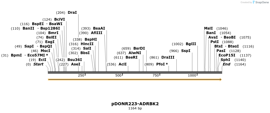 10855_map