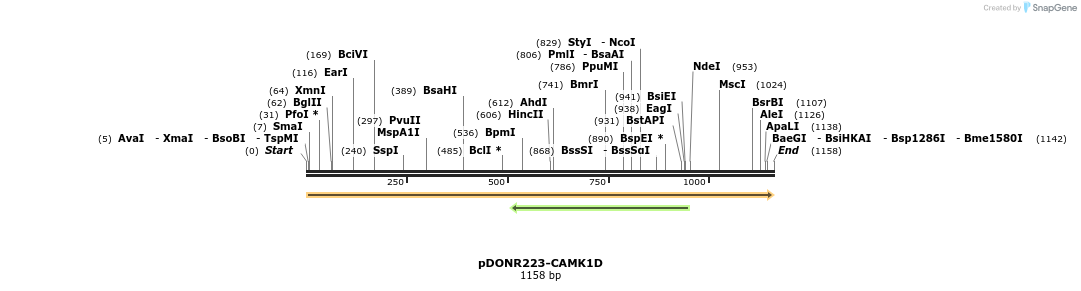 10857_map