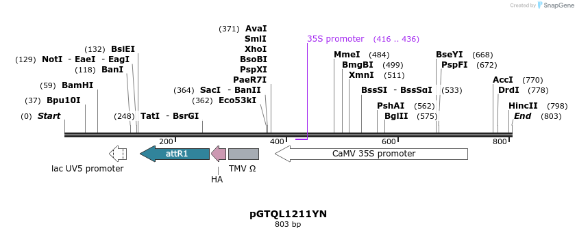 108571_map