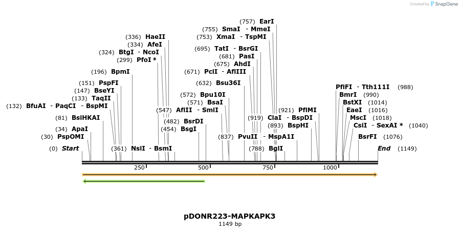 10858_map