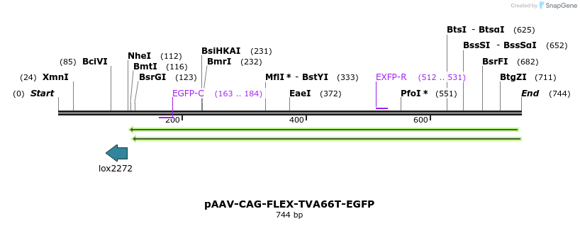 108595_map