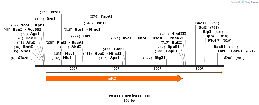 108596_map