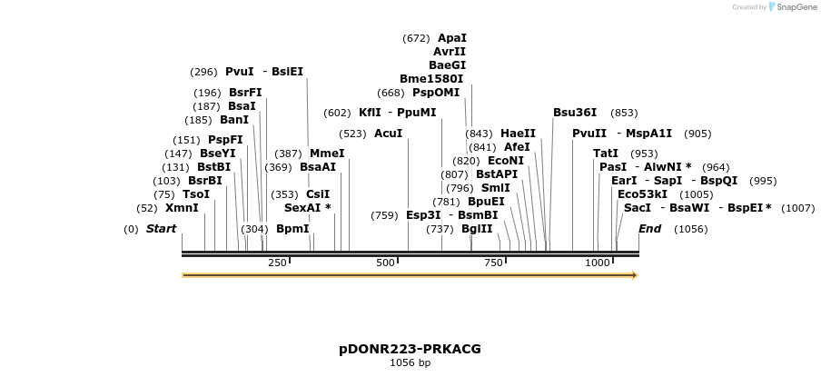 10860_map