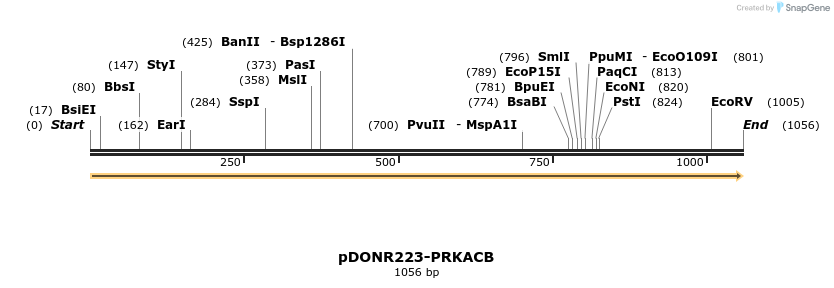 10861_map