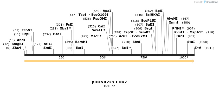 10862_map