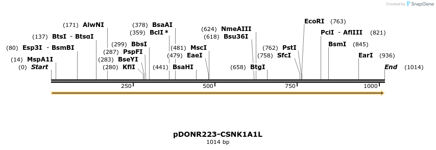 10864_map