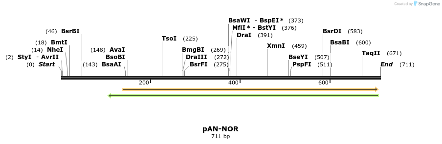 108661_map