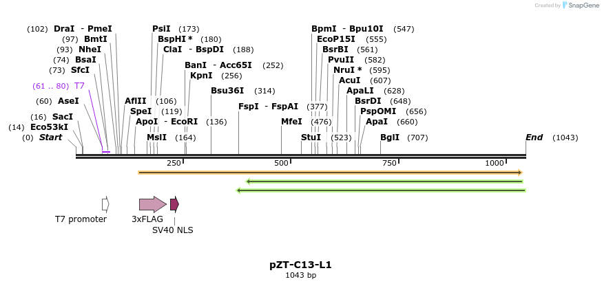 108663_map