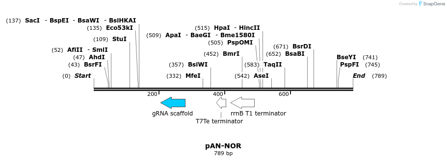 108664_map