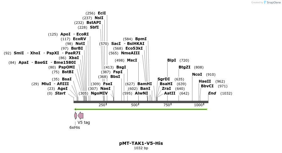 108666_map