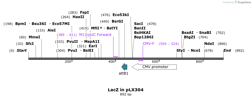 108668_map