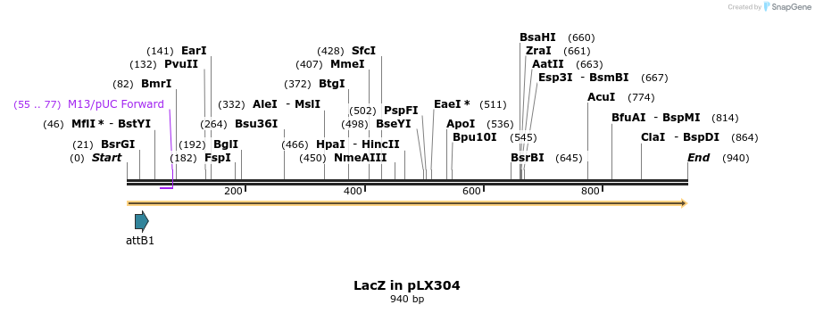 108669_map