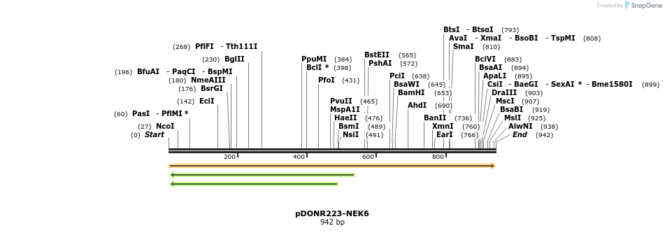 10867_map