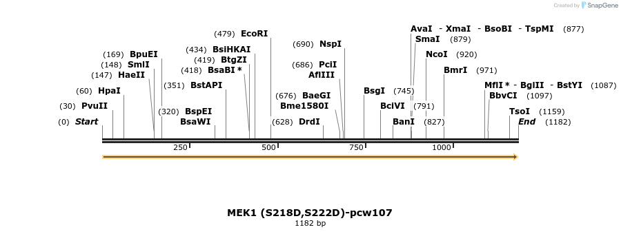 108673_map