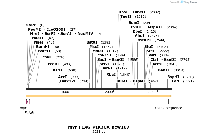 108674_map