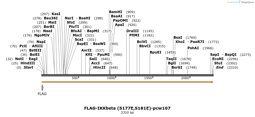 108678_map