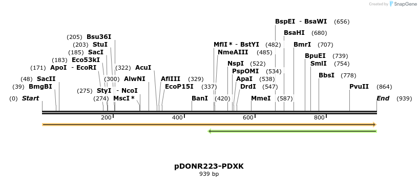 10868_map