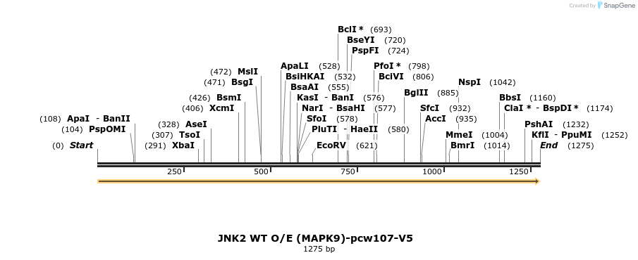 108686_map