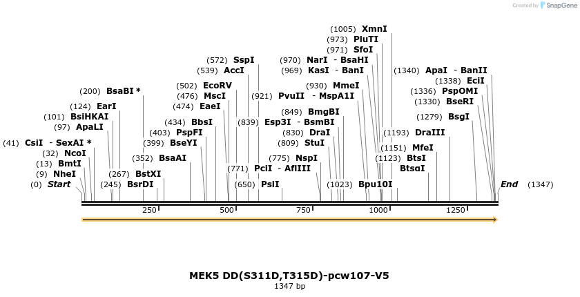 108688_map
