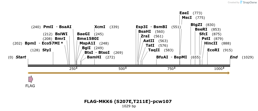 108694_map