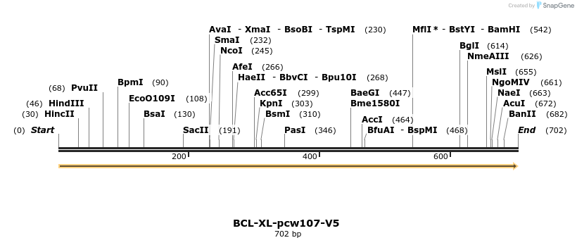 108700_map