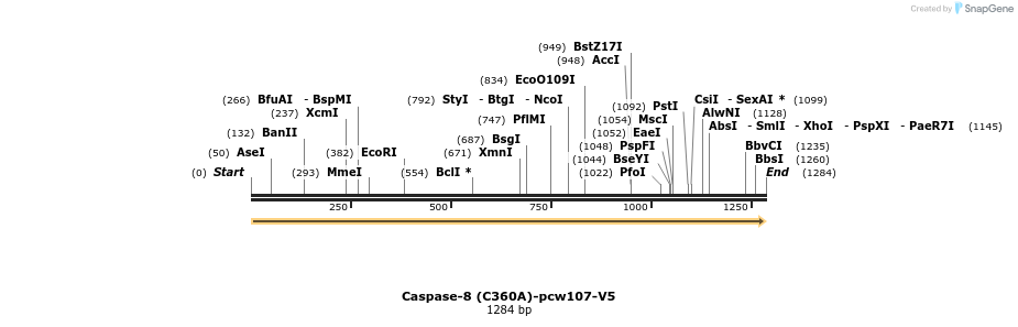 108701_map