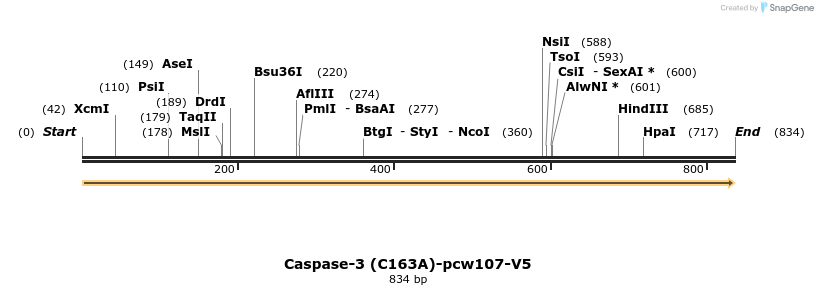 108702_map