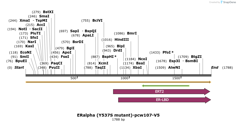 108703_map
