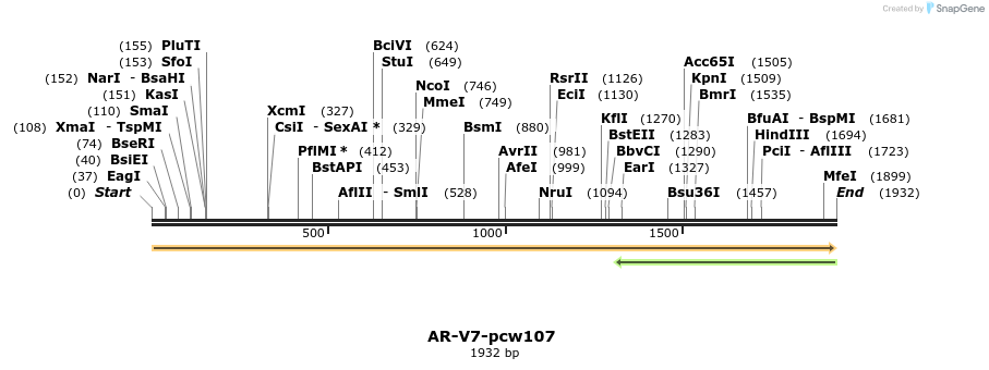 108704_map