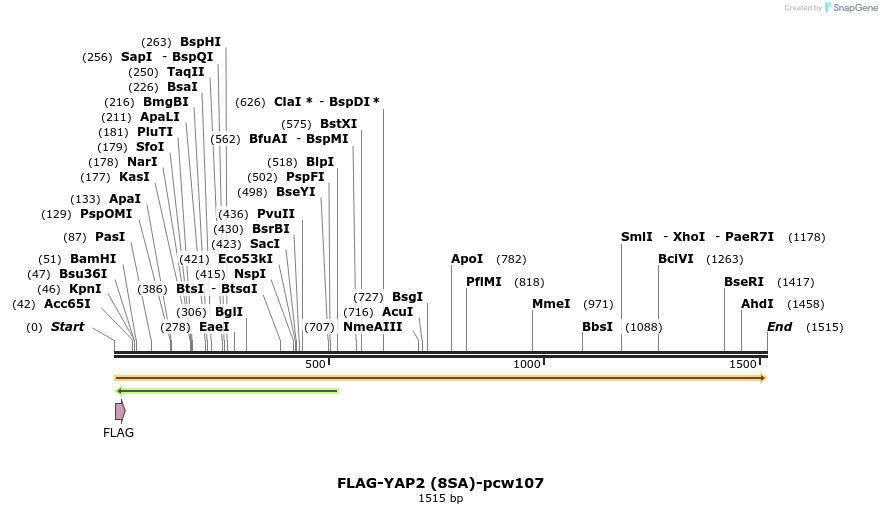 108706_map