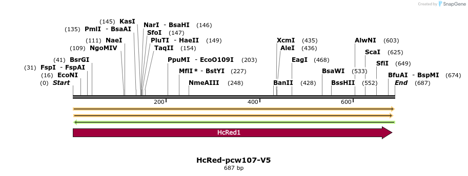108716_map