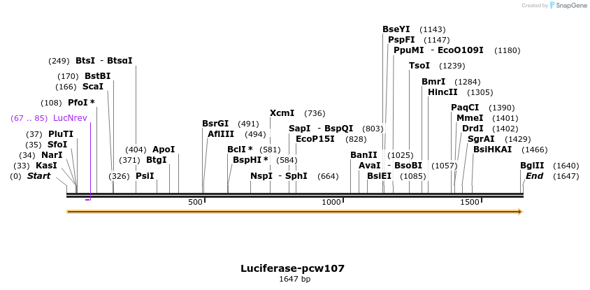 108717_map