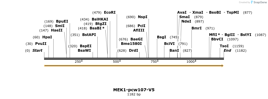 108719_map